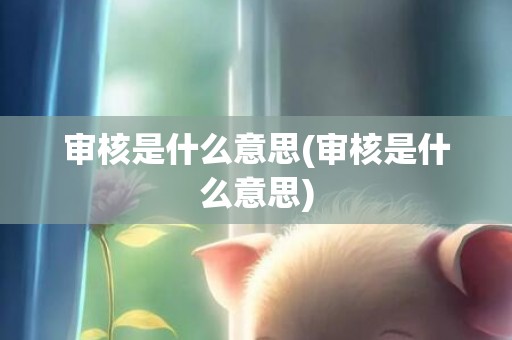审核是什么意思(审核是什么意思)