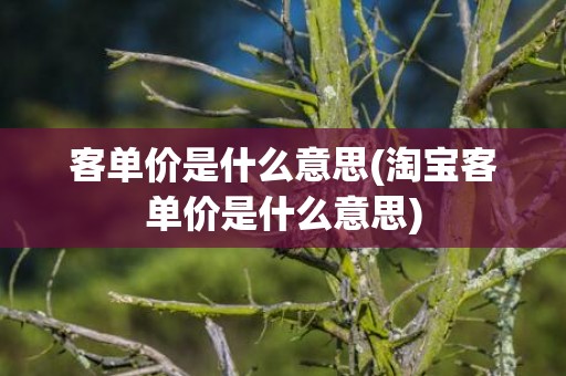 客单价是什么意思(淘宝客单价是什么意思)