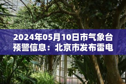 2024年05月10日市气象台预警信息：北京市发布雷电黄色预警