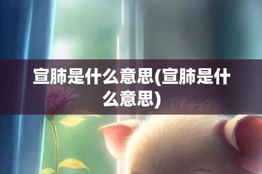 宣肺是什么意思(宣肺是什么意思)
