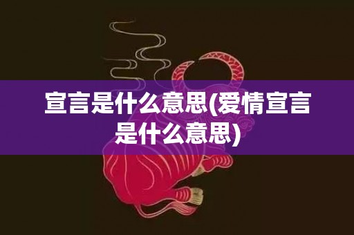 宣言是什么意思(爱情宣言是什么意思)
