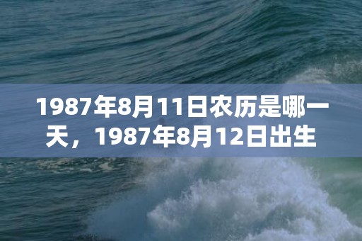 1987年8月11日农历是哪一天，1987年8月12日出生的人命好吗
