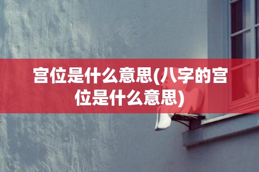 宫位是什么意思(八字的宫位是什么意思)