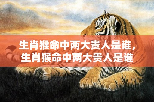 生肖猴命中两大贵人是谁，生肖猴命中两大贵人是谁