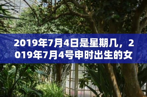 2019年7月4日是星期几，2019年7月4号申时出生的女孩怎么起名好听，五行是什么？
