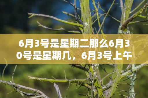 6月3号是星期二那么6月30号是星期几，6月3号上午11点出生的女宝宝如何起名