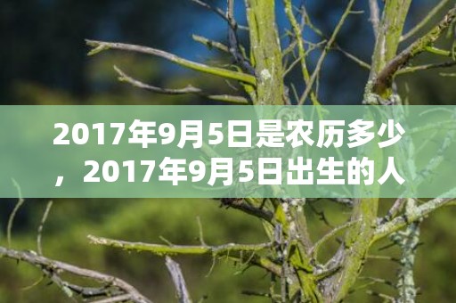 2017年9月5日是农历多少，2017年9月5日出生的人命好吗