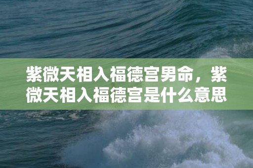 紫微天相入福德宫男命，紫微天相入福德宫是什么意思