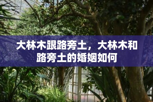 大林木跟路旁土，大林木和路旁土的婚姻如何