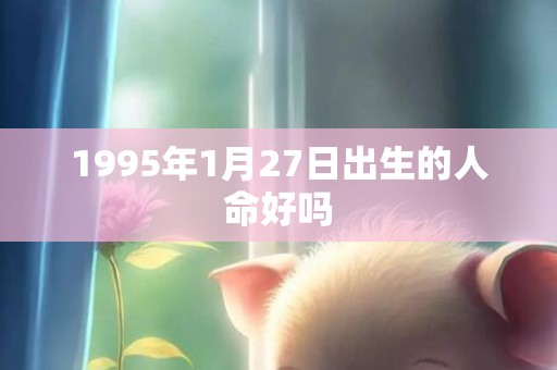 1995年1月27日出生的人命好吗