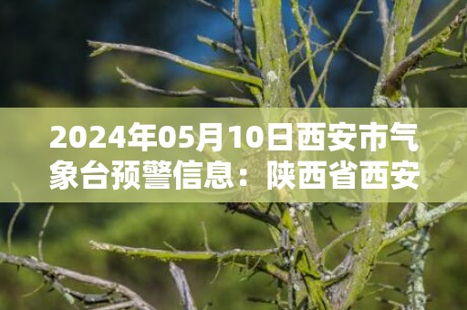 2024年05月10日西安市气象台预警信息：陕西省西安市发布冰雹橙色预警