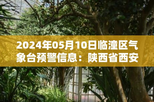 2024年05月10日临潼区气象台预警信息：陕西省西安市临潼区发布冰雹橙色预警