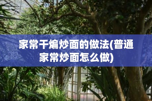 家常干煸炒面的做法(普通家常炒面怎么做)