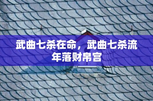 武曲七杀在命，武曲七杀流年落财帛宫