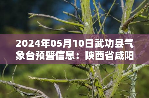 2024年05月10日武功县气象台预警信息：陕西省咸阳市武功县发布冰雹橙色预警