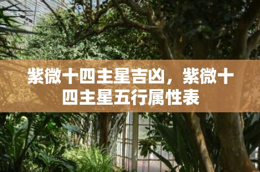 紫微十四主星吉凶，紫微十四主星五行属性表