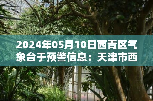 2024年05月10日西青区气象台于预警信息：天津市西青区发布雷雨大风黄色预警
