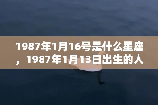 1987年1月16号是什么星座，1987年1月13日出生的人命好吗