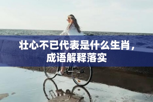 壮心不已代表是什么生肖，成语解释落实