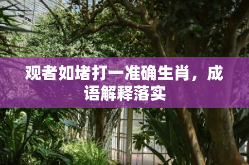 观者如堵打一准确生肖，成语解释落实