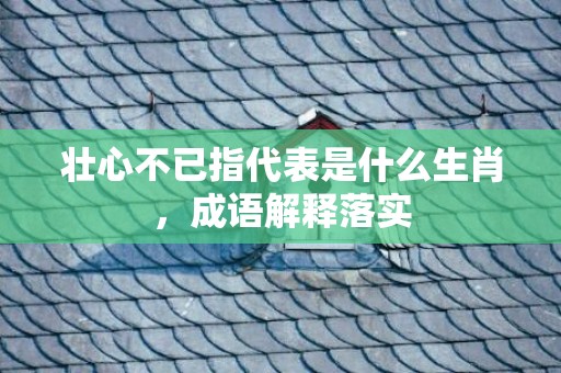 壮心不已指代表是什么生肖，成语解释落实