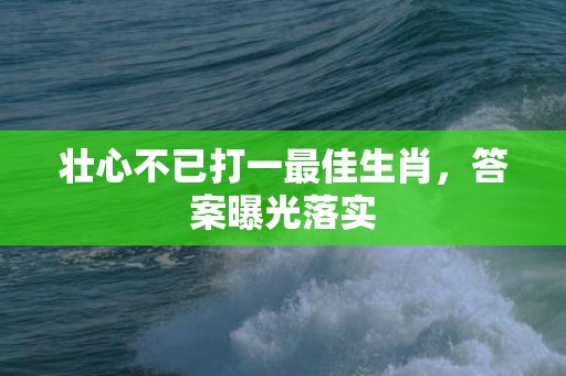 壮心不已打一最佳生肖，答案曝光落实