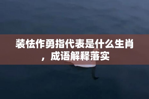 装怯作勇指代表是什么生肖，成语解释落实