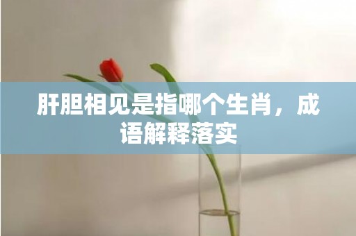 肝胆相见是指哪个生肖，成语解释落实