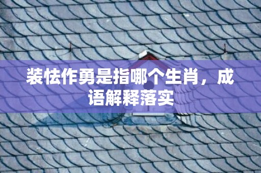 装怯作勇是指哪个生肖，成语解释落实