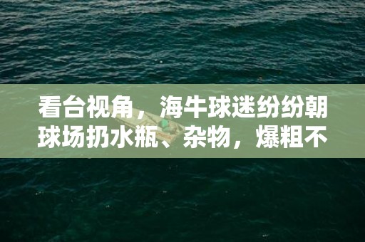 看台视角，海牛球迷纷纷朝球场扔水瓶、杂物，爆粗不断