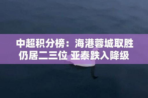 中超积分榜：海港蓉城取胜仍居二三位 亚泰跌入降级区