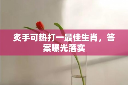炙手可热打一最佳生肖，答案曝光落实