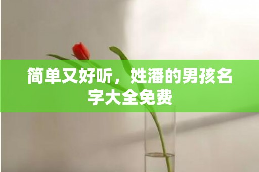 简单又好听，姓潘的男孩名字大全免费