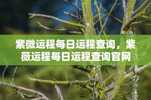 紫微运程每日运程查询，紫薇运程每日运程查询官网
