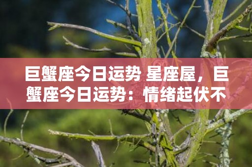 巨蟹座今日运势 星座屋，巨蟹座今日运势：情绪起伏不定，应注意自我调节！