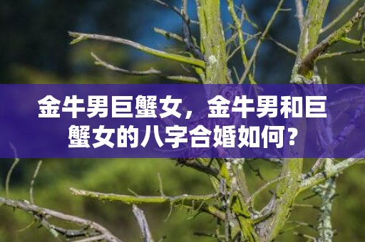 金牛男巨蟹女，金牛男和巨蟹女的八字合婚如何？