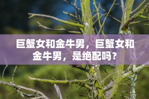 巨蟹女和金牛男，巨蟹女和金牛男，是绝配吗？
