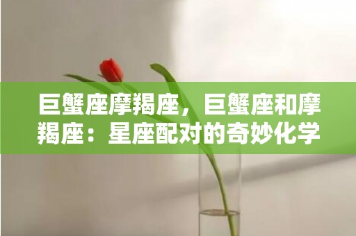 巨蟹座摩羯座，巨蟹座和摩羯座：星座配对的奇妙化学反应！