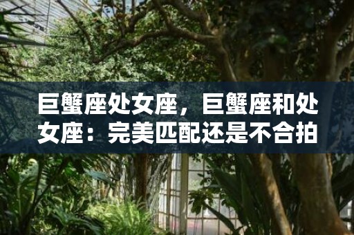 巨蟹座处女座，巨蟹座和处女座：完美匹配还是不合拍？