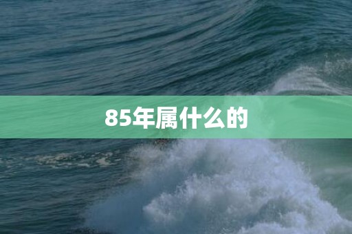 85年属什么的