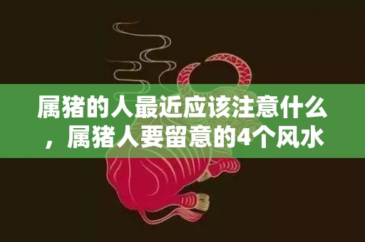 属猪的人最近应该注意什么，属猪人要留意的4个风水禁忌