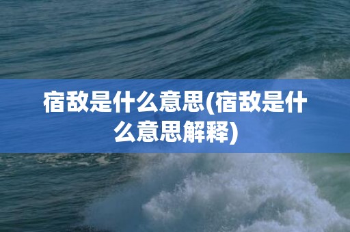 宿敌是什么意思(宿敌是什么意思解释)