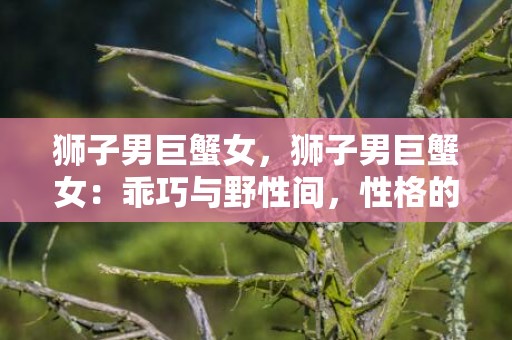 狮子男巨蟹女，狮子男巨蟹女：乖巧与野性间，性格的交集在哪里？