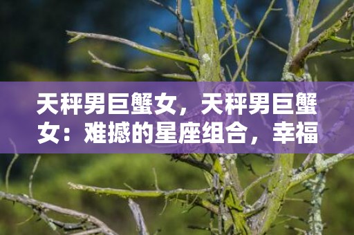 天秤男巨蟹女，天秤男巨蟹女：难撼的星座组合，幸福的爱情保证吗？