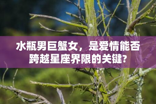 水瓶男巨蟹女，是爱情能否跨越星座界限的关键?