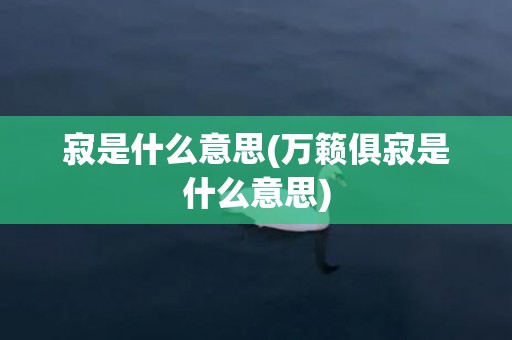 寂是什么意思(万籁俱寂是什么意思)