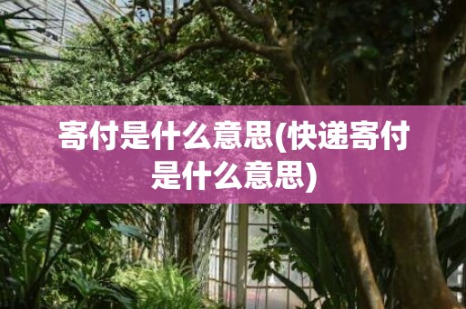 寄付是什么意思(快递寄付是什么意思)