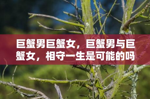 巨蟹男巨蟹女，巨蟹男与巨蟹女，相守一生是可能的吗？