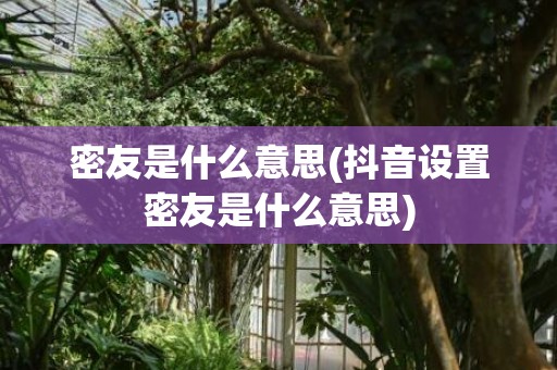 密友是什么意思(抖音设置密友是什么意思)