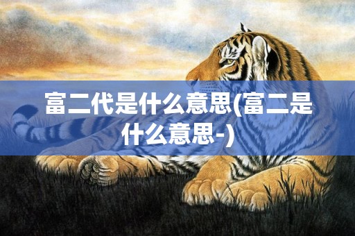 富二代是什么意思(富二是什么意思-)
